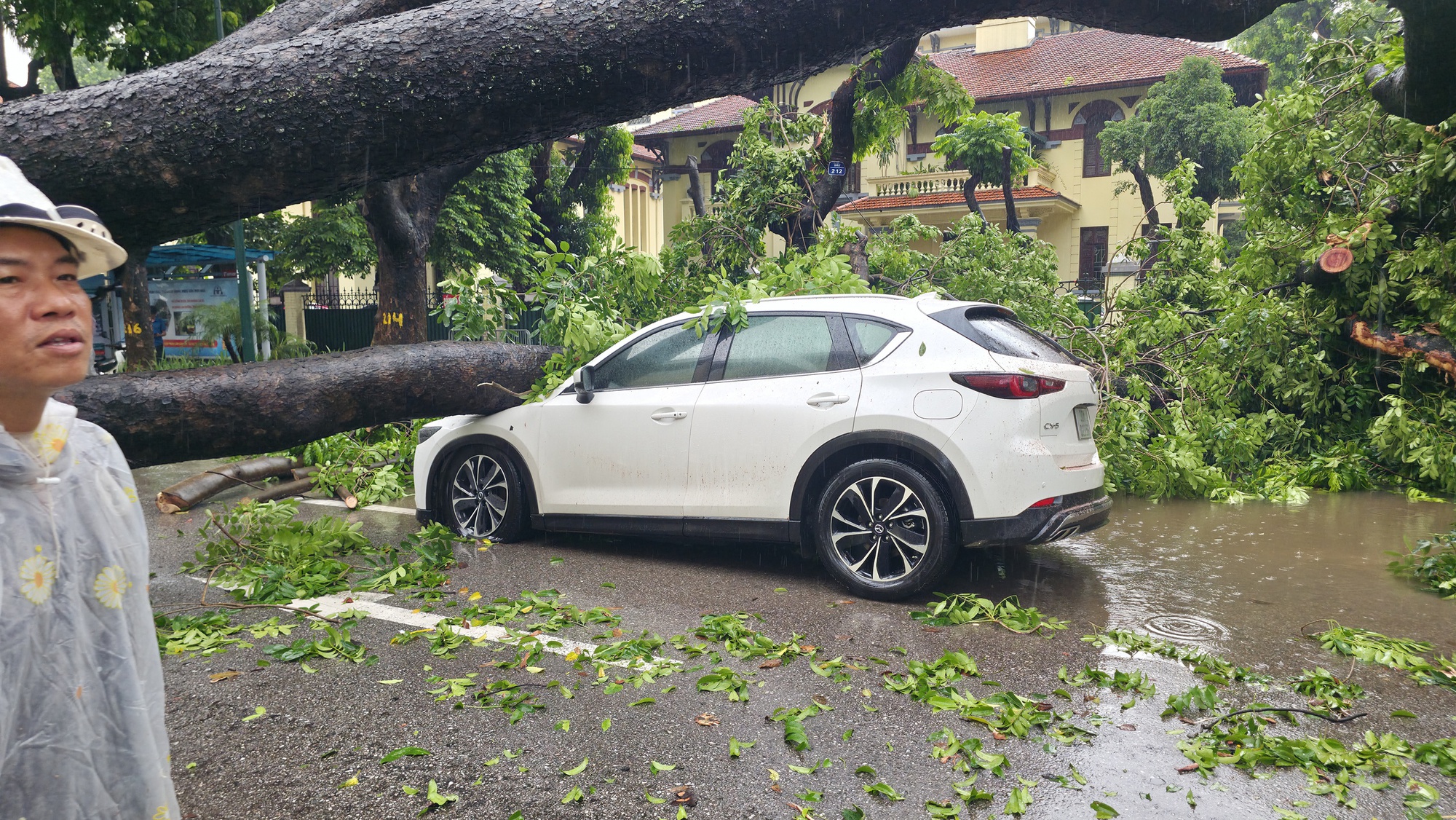 Cây lớn bật gốc đè ô tô giữa phố Hà Nội: Kinh hoàng 30 giây của Chủ xe - Ảnh 6.