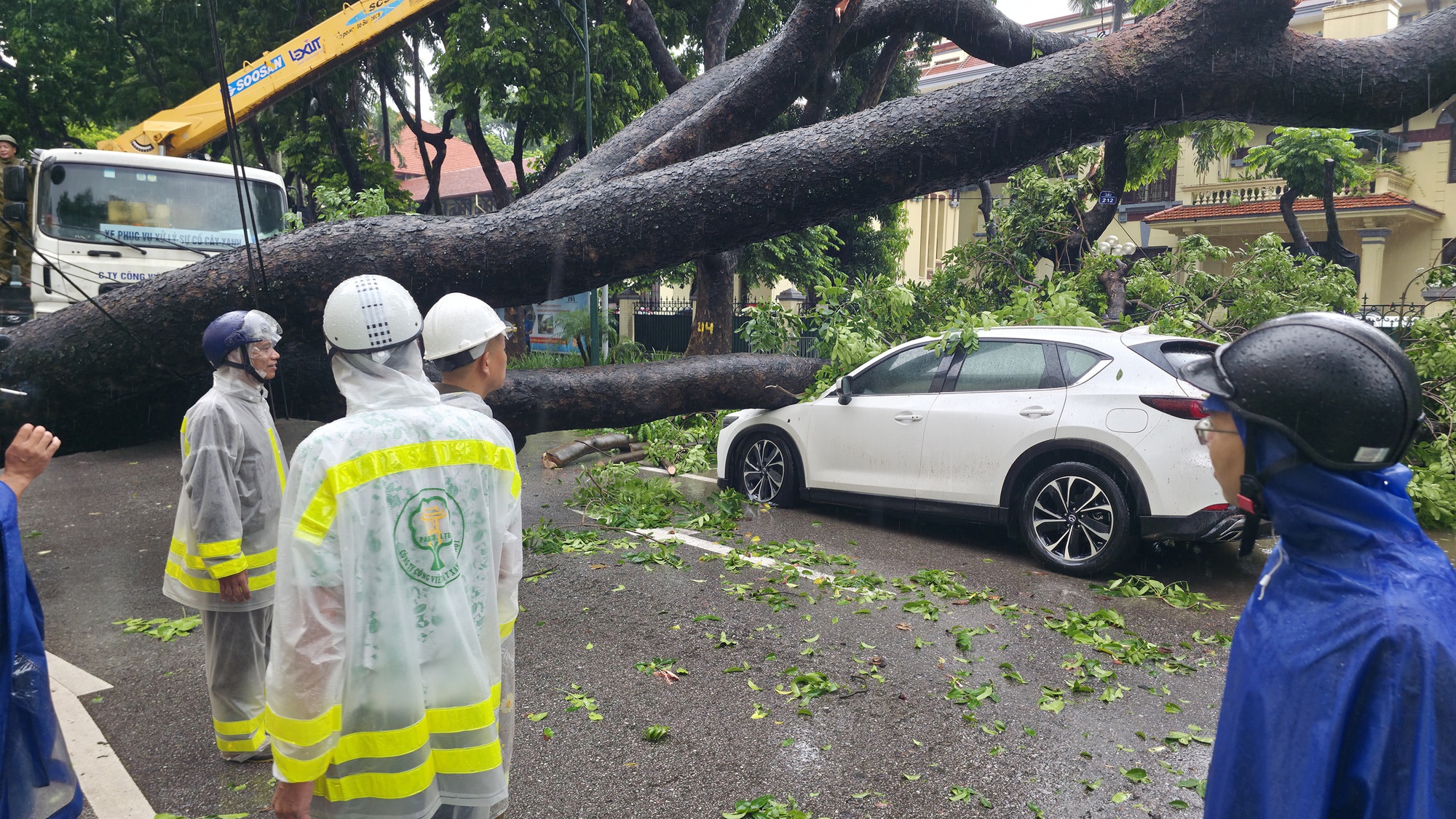 Cây lớn bật gốc đè ô tô giữa phố Hà Nội: Kinh hoàng 30 giây của Chủ xe - Ảnh 7.