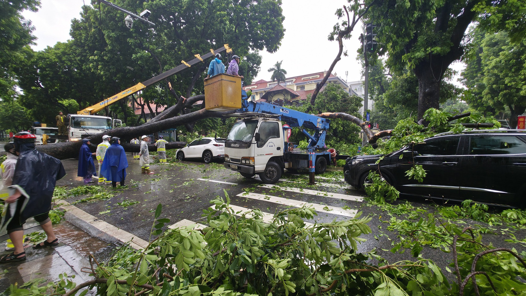Cây lớn bật gốc đè ô tô giữa phố Hà Nội: Kinh hoàng 30 giây của Chủ xe - Ảnh 1.