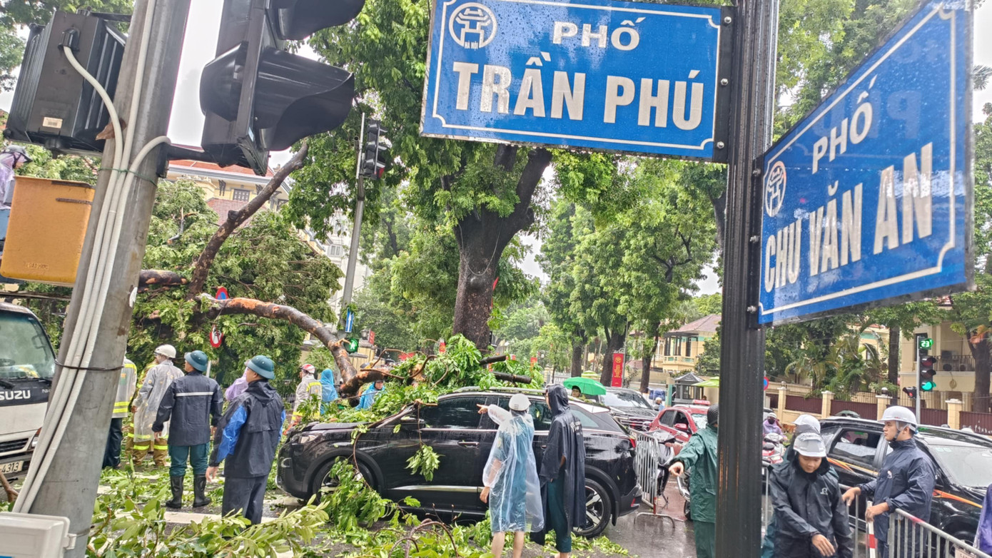 Cây xà cừ cổ thụ đổ đè ô tô trên đường Trần Phú , Hà Nội - Ảnh 13.