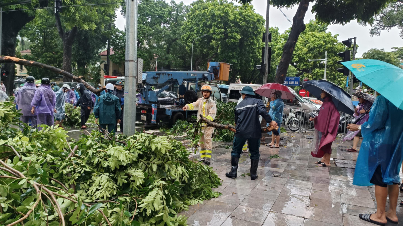 Cây xà cừ cổ thụ đổ đè ô tô trên đường Trần Phú , Hà Nội - Ảnh 11.