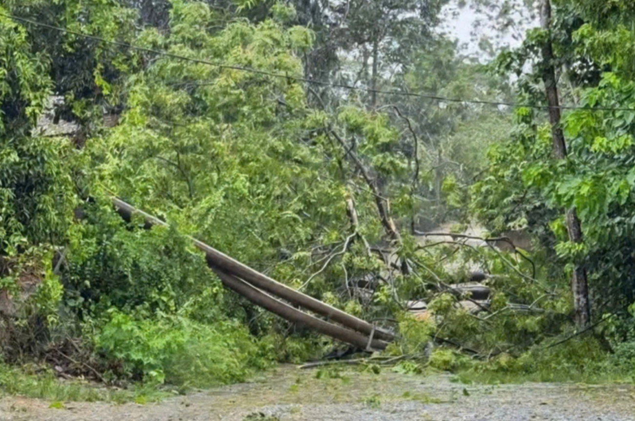 Bão Kajiki quần thảo trên đất liền 12 tiếng , hiếm gặp trong 20 năm qua - Ảnh 2.