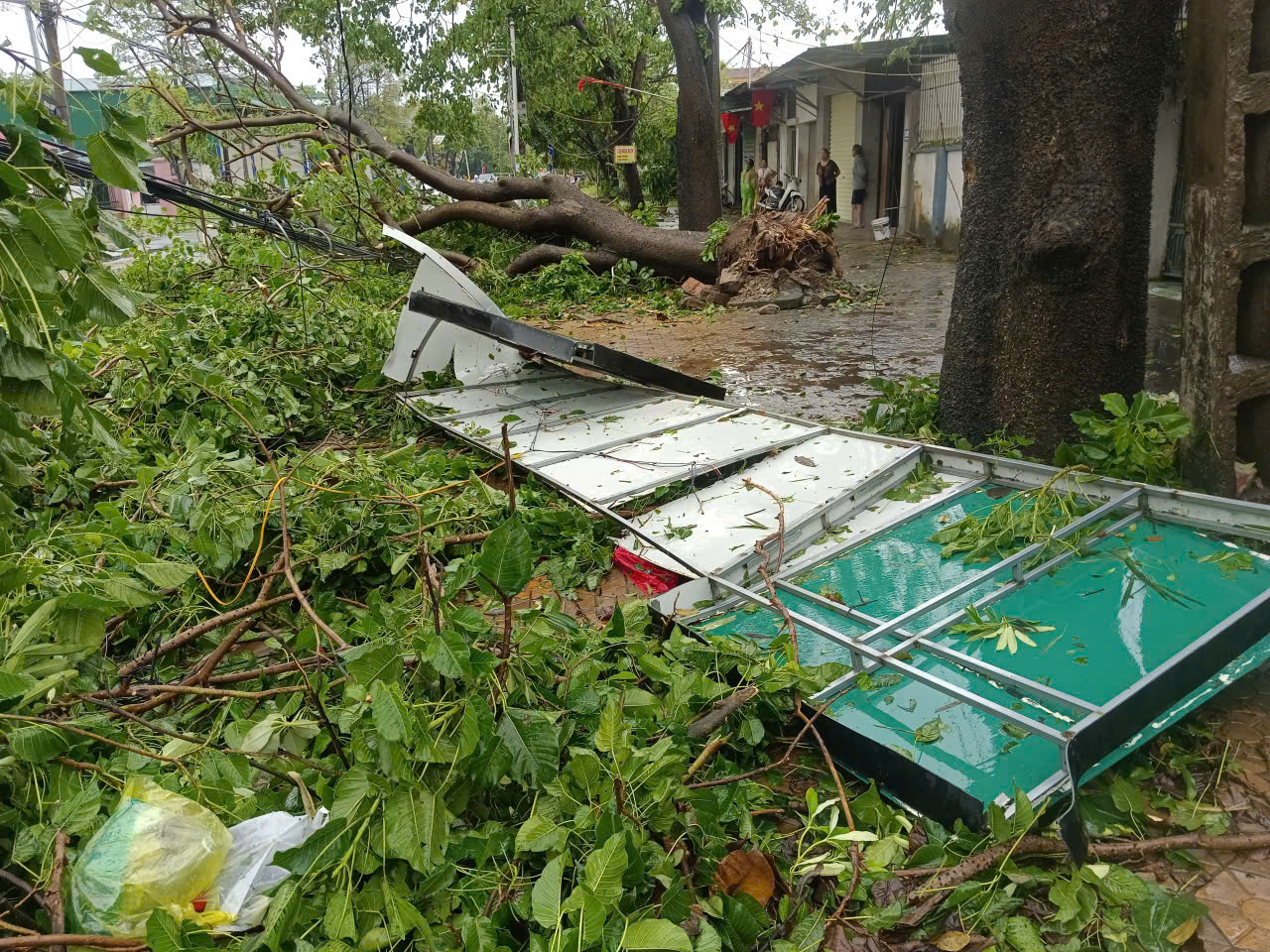 Hàng ngàn cây xanh , cột điện gãy đổ sau bão số 5 tại Nghệ An - Ảnh 7.