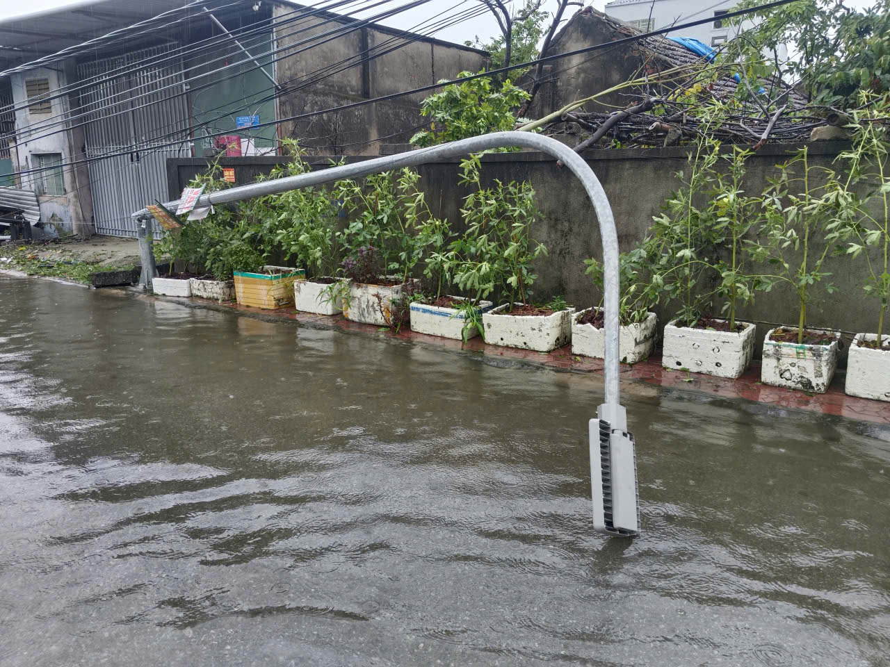 Hàng ngàn cây xanh , cột điện gãy đổ sau bão số 5 tại Nghệ An - Ảnh 4.