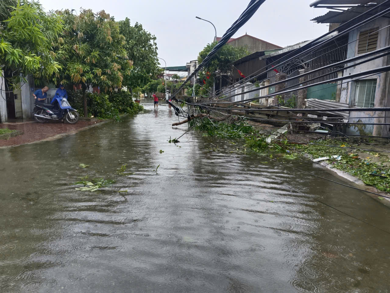 Hàng ngàn cây xanh , cột điện gãy đổ sau bão số 5 tại Nghệ An - Ảnh 6.