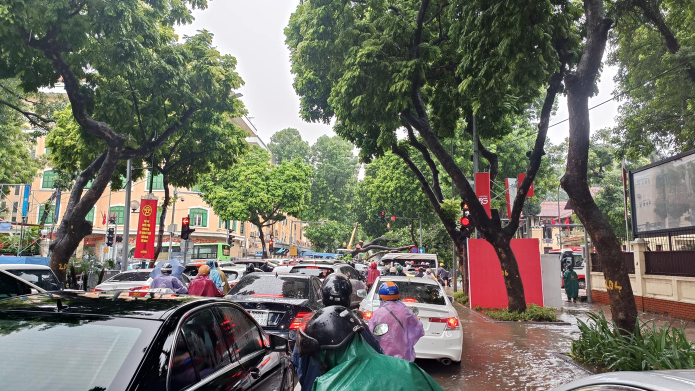 Cây xà cừ cổ thụ đổ đè ô tô trên đường Trần Phú , Hà Nội - Ảnh 14.
