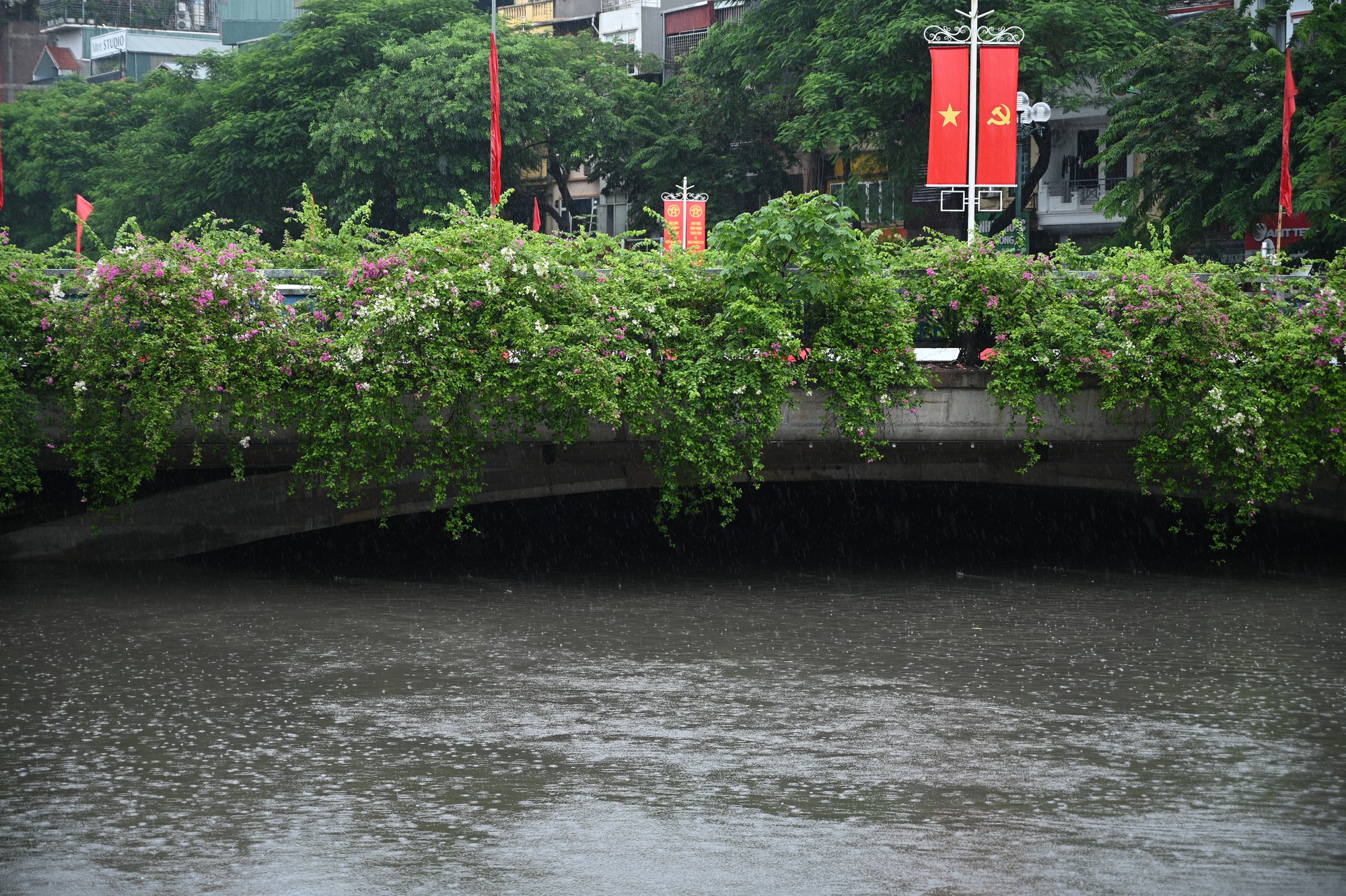 Cảnh tượng lạ trên sông Tô Lịch sau trận mưa như trút ở Hà Nội, nhiều người kinh ngạc thốt lên: "Đây là lần đầu tiên tôi thấy" - Ảnh 6.
