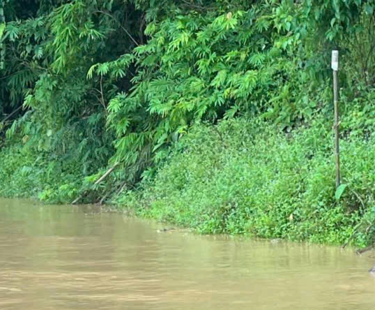Cô gái nước ngòai khỏa thân gây xôn xao đường phố Nha Trang thu hút du khách nước ngòai - Ảnh 1. Cô gái nước ngòai khỏa thân gây xôn xao đường phố Nha Trang thu hút du khách nước ngòai - Ảnh 1.