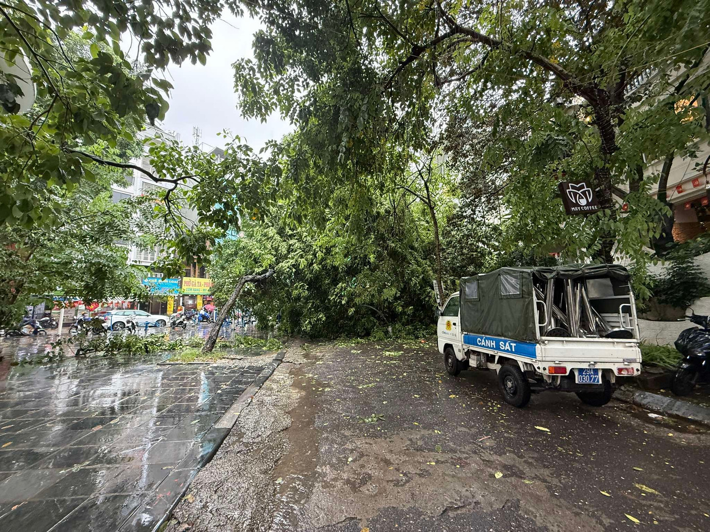 Cây xà cừ cổ thụ đổ đè bẹp ô tô trên phố Trung Kính , Hà Nội - Ảnh 3. Cây xà cừ cổ thụ đổ đè bẹp ô tô trên phố Trung Kính , Hà Nội - Ảnh 3.