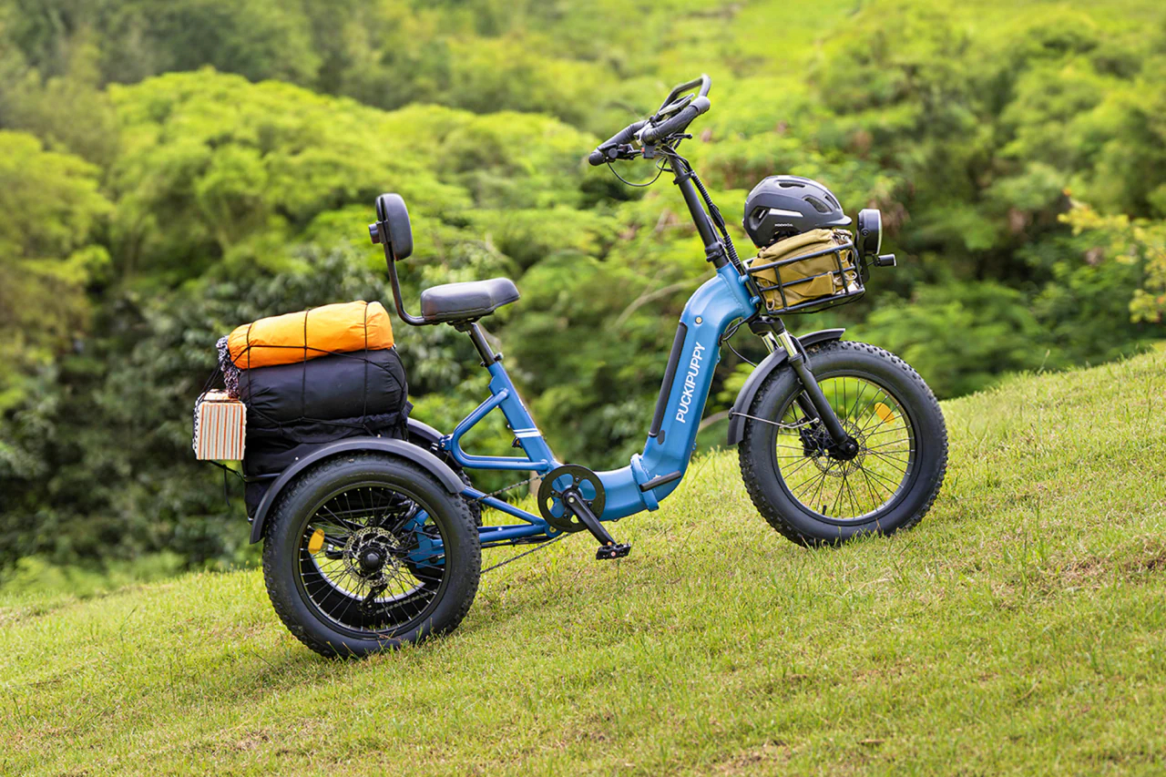 Xe m&aacute;y điện 3 b&aacute;nh k&egrave;m th&ugrave;ng chứa đồ, tải trọng 226kg, c&oacute; giảm x&oacute;c, số l&ugrave;i, hội shipper chắc rất th&iacute;ch cho đến khi thấy gi&aacute;- Ảnh 2.