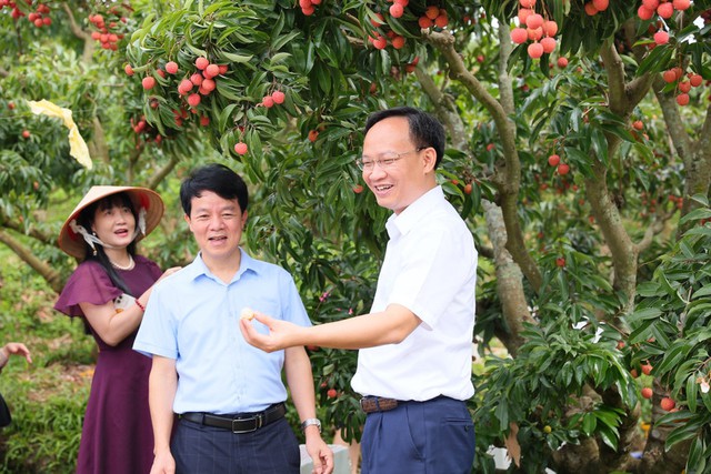 Đặc sản Việt Nam ghi nhận kỷ lục chưa từng có, vừa hết vụ đã có đối tác lớn từ Mỹ đặt hàng cho năm sau - Ảnh 2. Đặc sản Việt Nam ghi nhận kỷ lục chưa từng có, vừa hết vụ đã có đối tác lớn từ Mỹ đặt hàng cho năm sau - Ảnh 2.