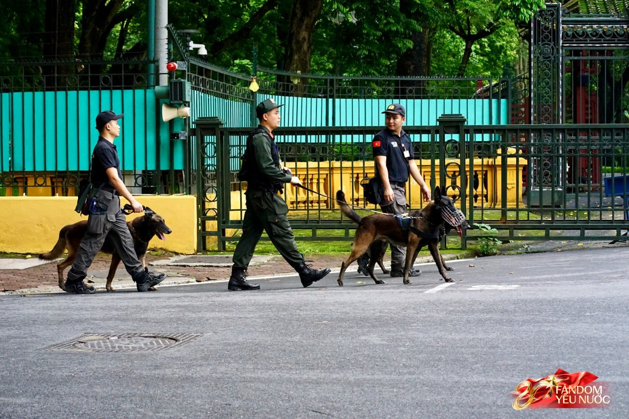 Các khối diễu binh đi qua từng tuyến đường trong tiếng hò reo của người dân: Tự hào quá Tổ quốc ơi!- Ảnh 97.