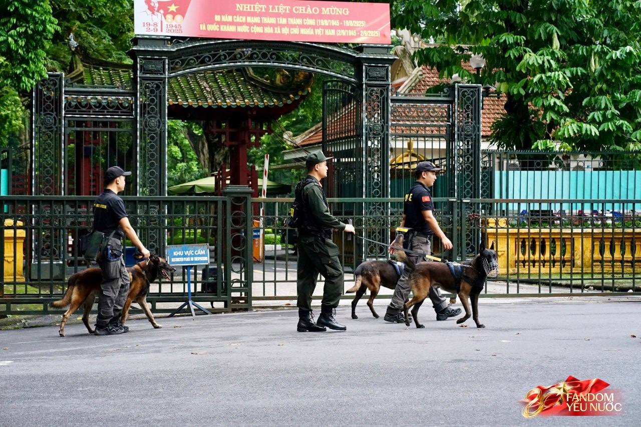 Các khối diễu binh đi qua từng tuyến đường trong tiếng hò reo của người dân: Tự hào quá Tổ quốc ơi!- Ảnh 98.