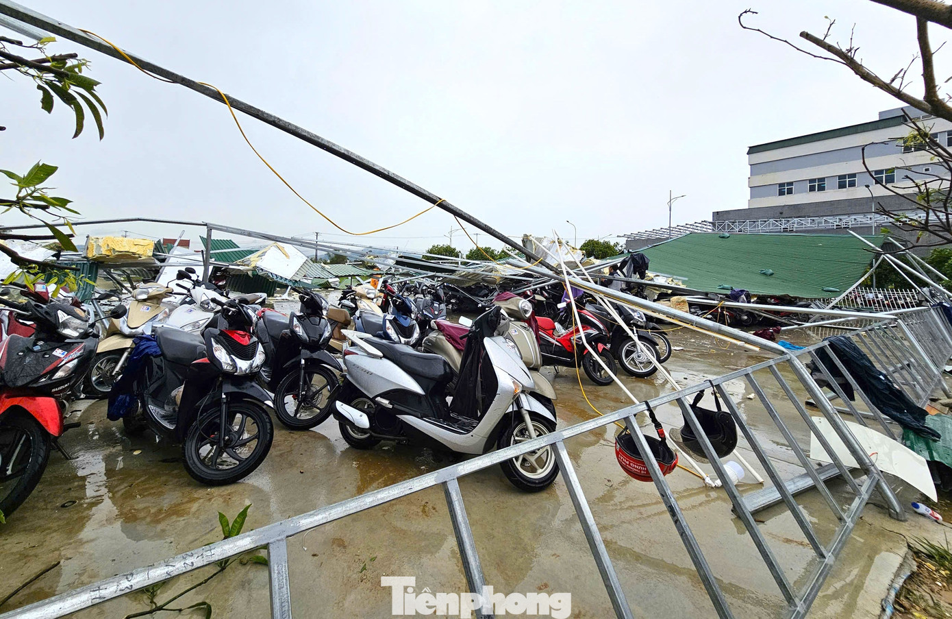 Nhiều Bệnh Viện Ở Nghệ An Tan Hoang Sau Bão 7 Tp 38E11C7647Cacf9496Db57 1756255029353 1756255029592215830921