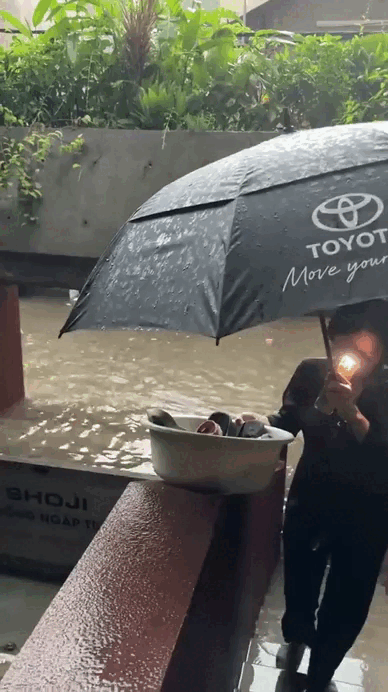 Viral nhất TikTok: Ngôi nhà "bất khả xâm phạm" giữa biển nước Hà Nội nhờ cửa chống ngập 200 triệu, chủ nhà là ông trùm chuỗi Nhậu Tự Do cực hot! - Ảnh 9.