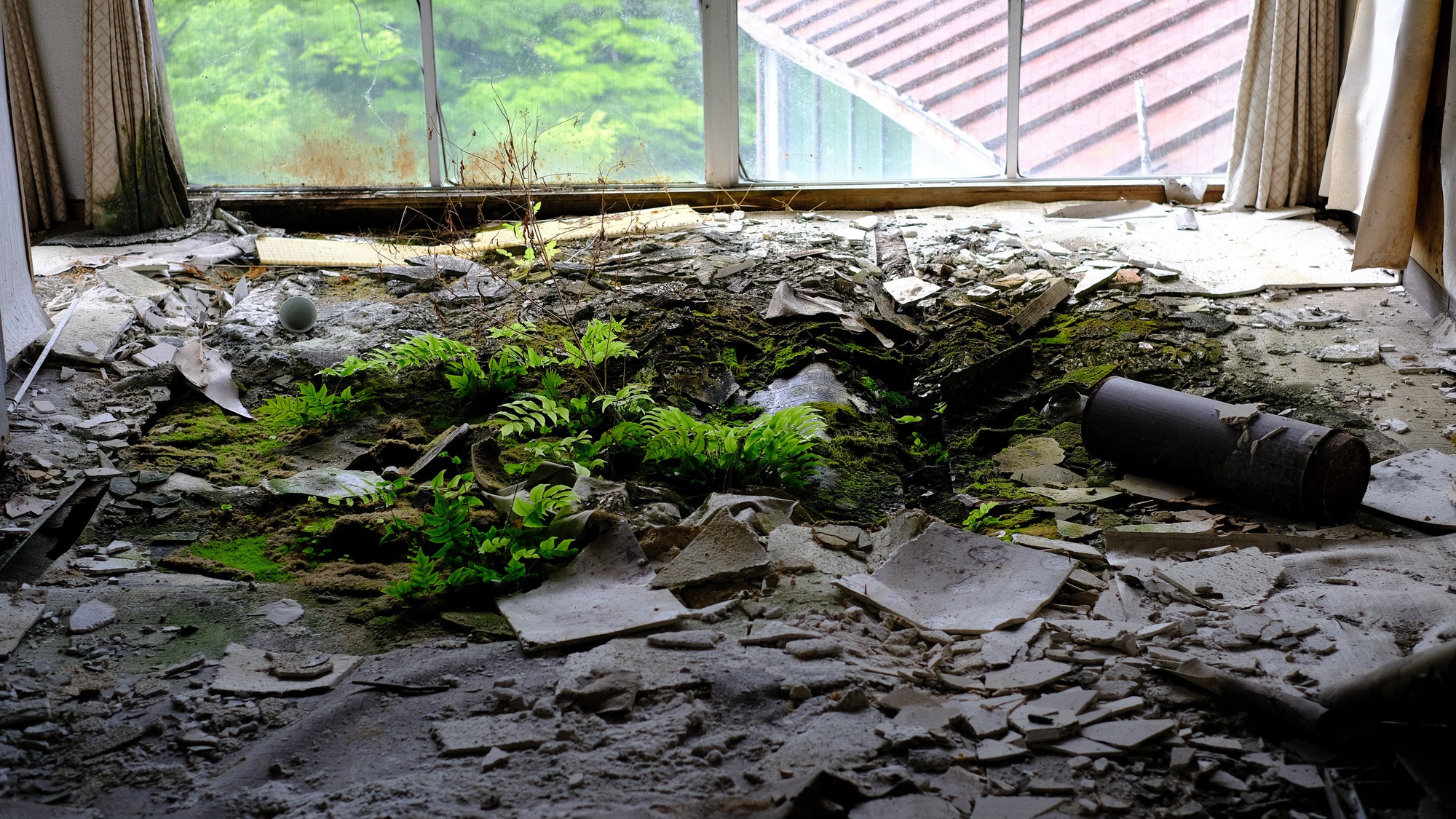 Bên trong khách sạn bị bỏ hoang ma quái nhất Nhật Bản- Ảnh 4.