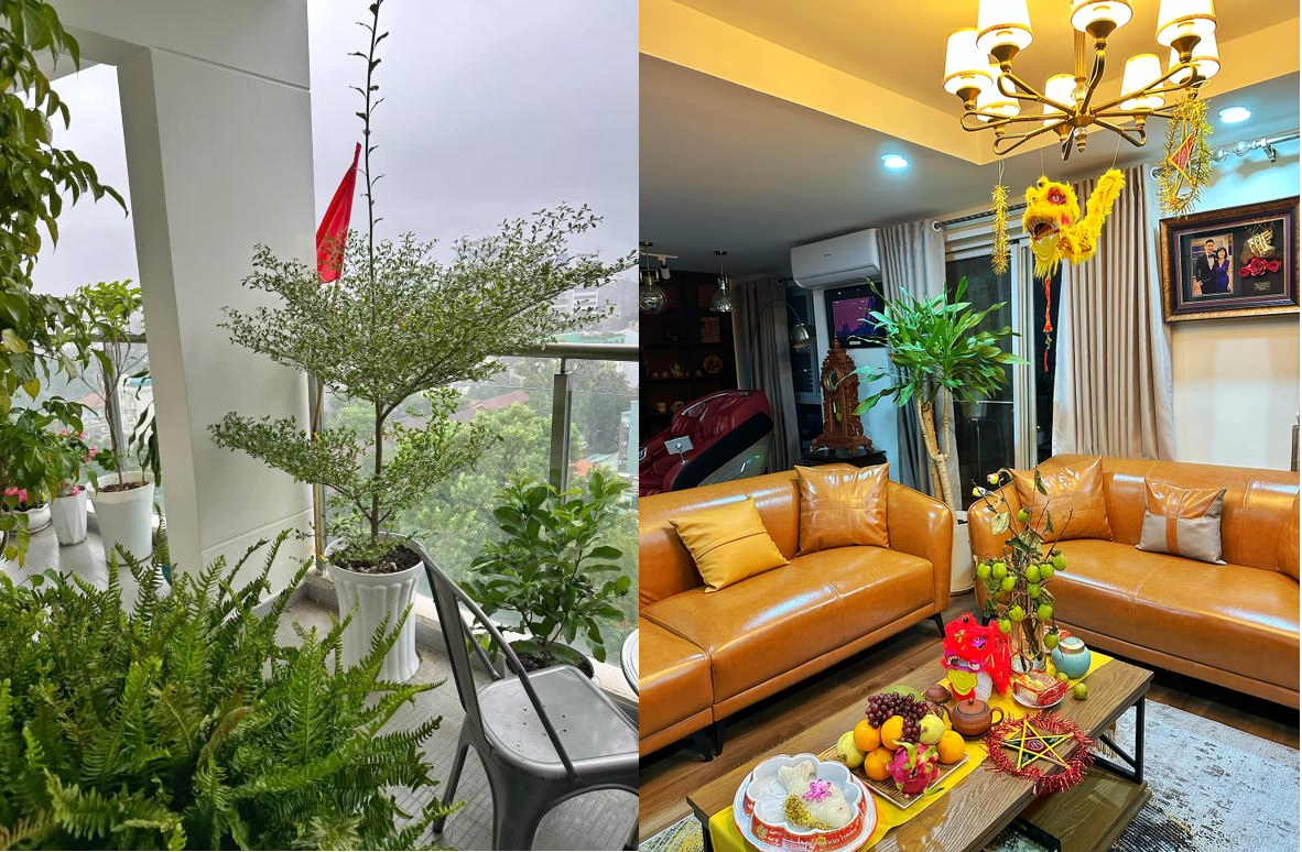 Nam MC giàu nhất nhì Việt Nam: Ở nhà tiền tỷ, chủ nhà hàng 5 tầng 2 mặt tiền quận 3, 41 tuổi chưa vợ - Ảnh 5. Nam MC giàu nhất nhì Việt Nam: Ở nhà tiền tỷ, chủ nhà hàng 5 tầng 2 mặt tiền quận 3, 41 tuổi chưa vợ - Ảnh 5.