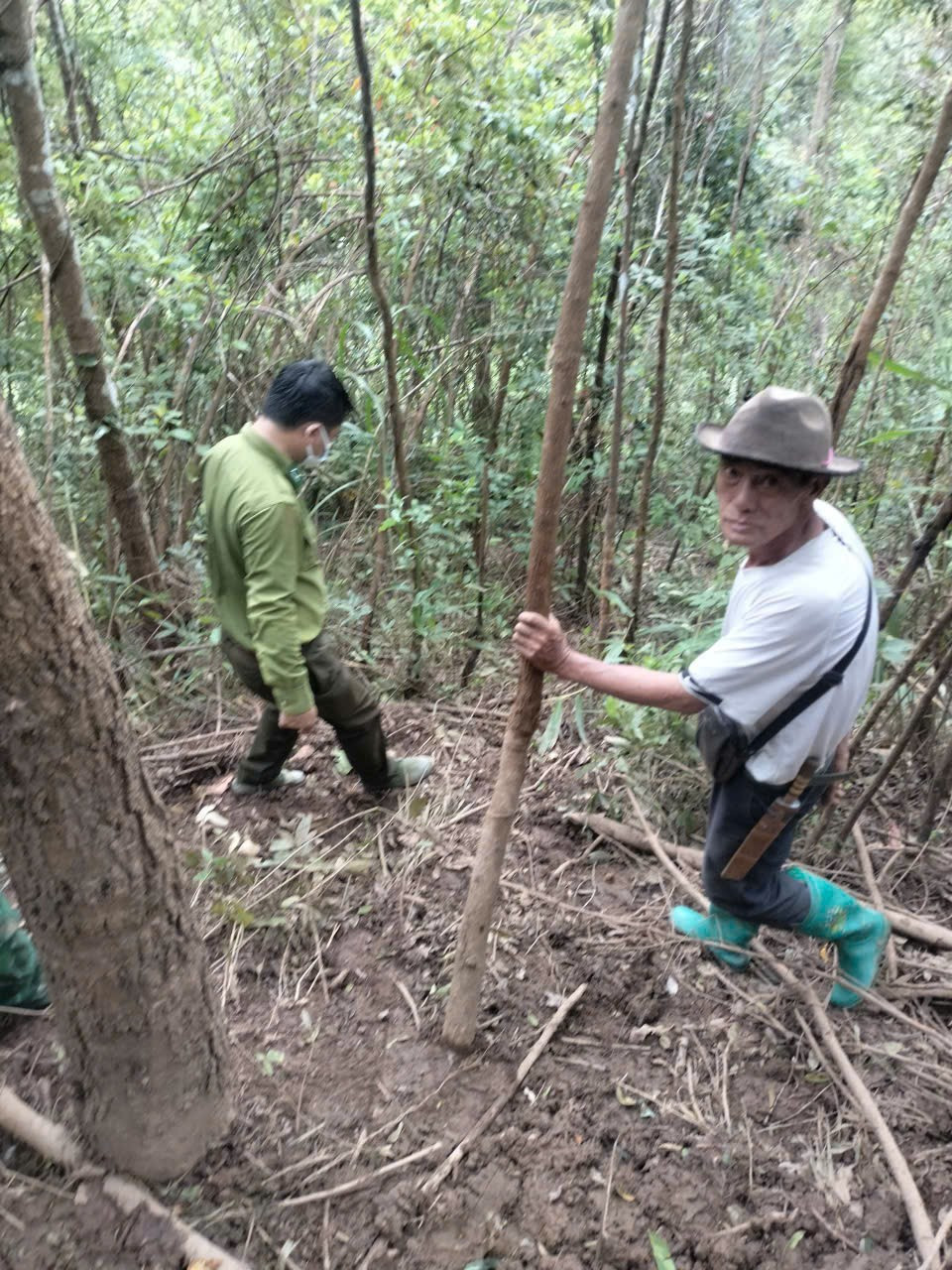 Giải mã thông tin sói rừng trở lại Điện Biên và Những cuộc truy lùng sói rừng bất thành - Ảnh 5.
