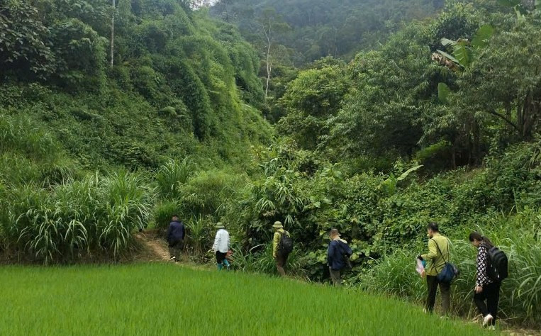 Giải mã thông tin sói rừng trở lại Điện Biên và Những cuộc truy lùng sói rừng bất thành - Ảnh 4.
