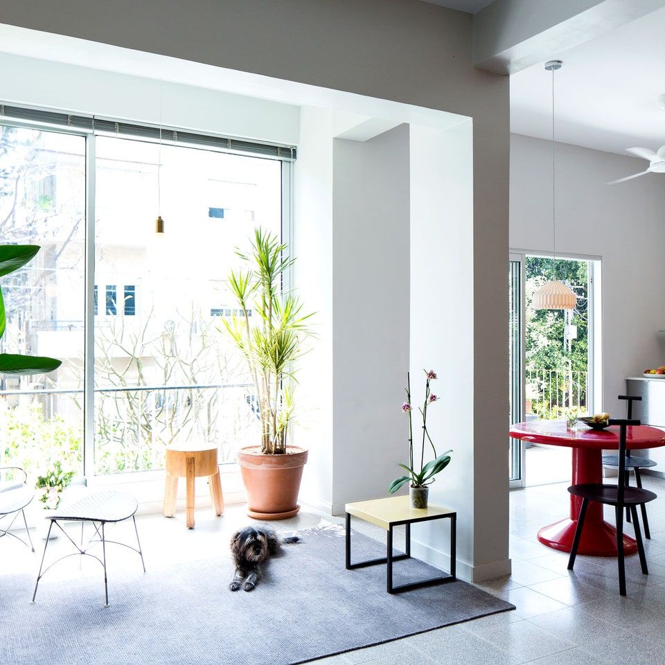 Kinh nghiệm 10 năm sống chung cư: Tôi chỉ chọn 4 tầng này vì càng ở càng sướng- Ảnh 4. Kinh nghiệm 10 năm sống chung cư: Tôi chỉ chọn 4 tầng này vì càng ở càng sướng- Ảnh 4.