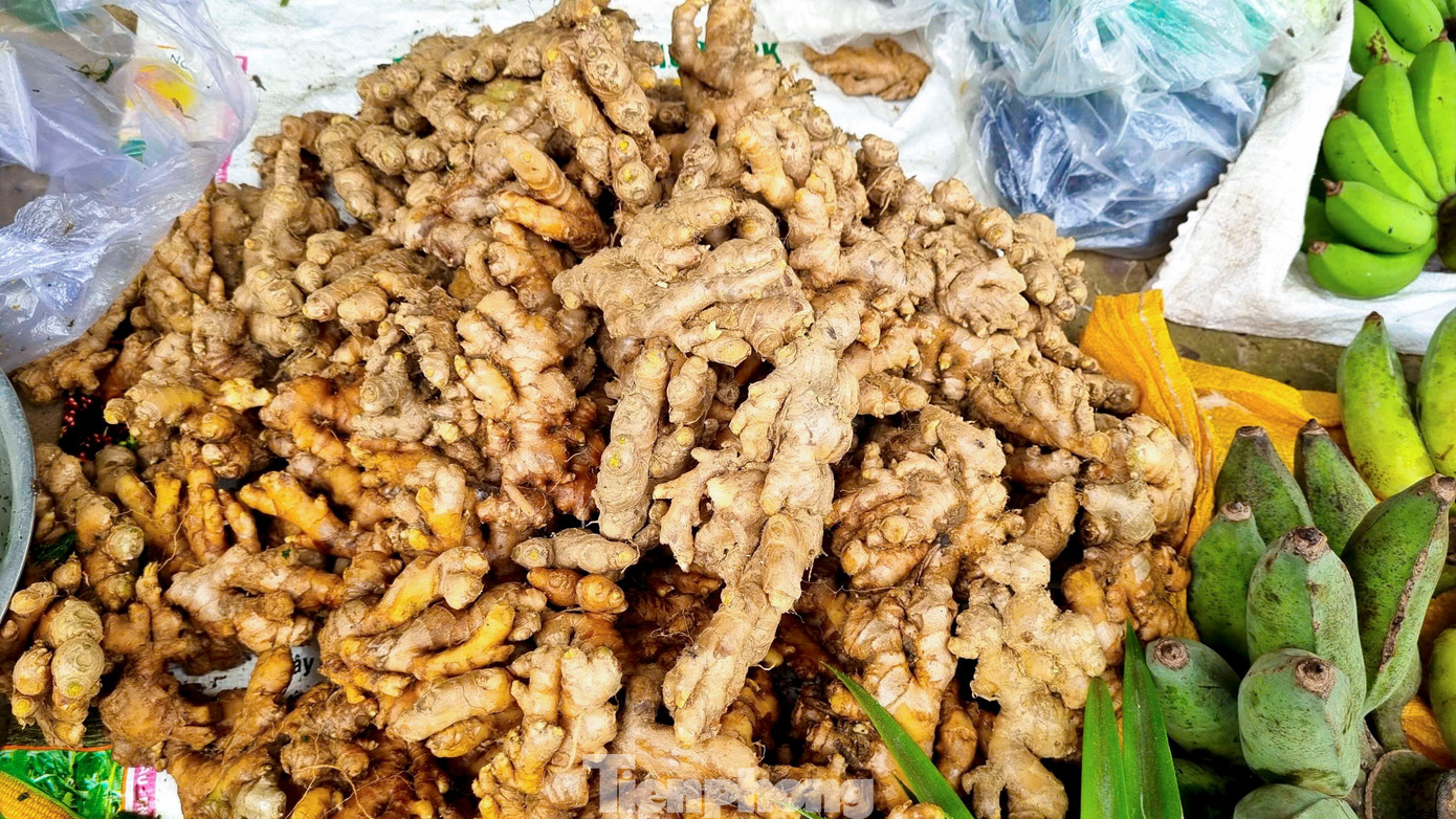 - Ảnh 9. - Ảnh 9.