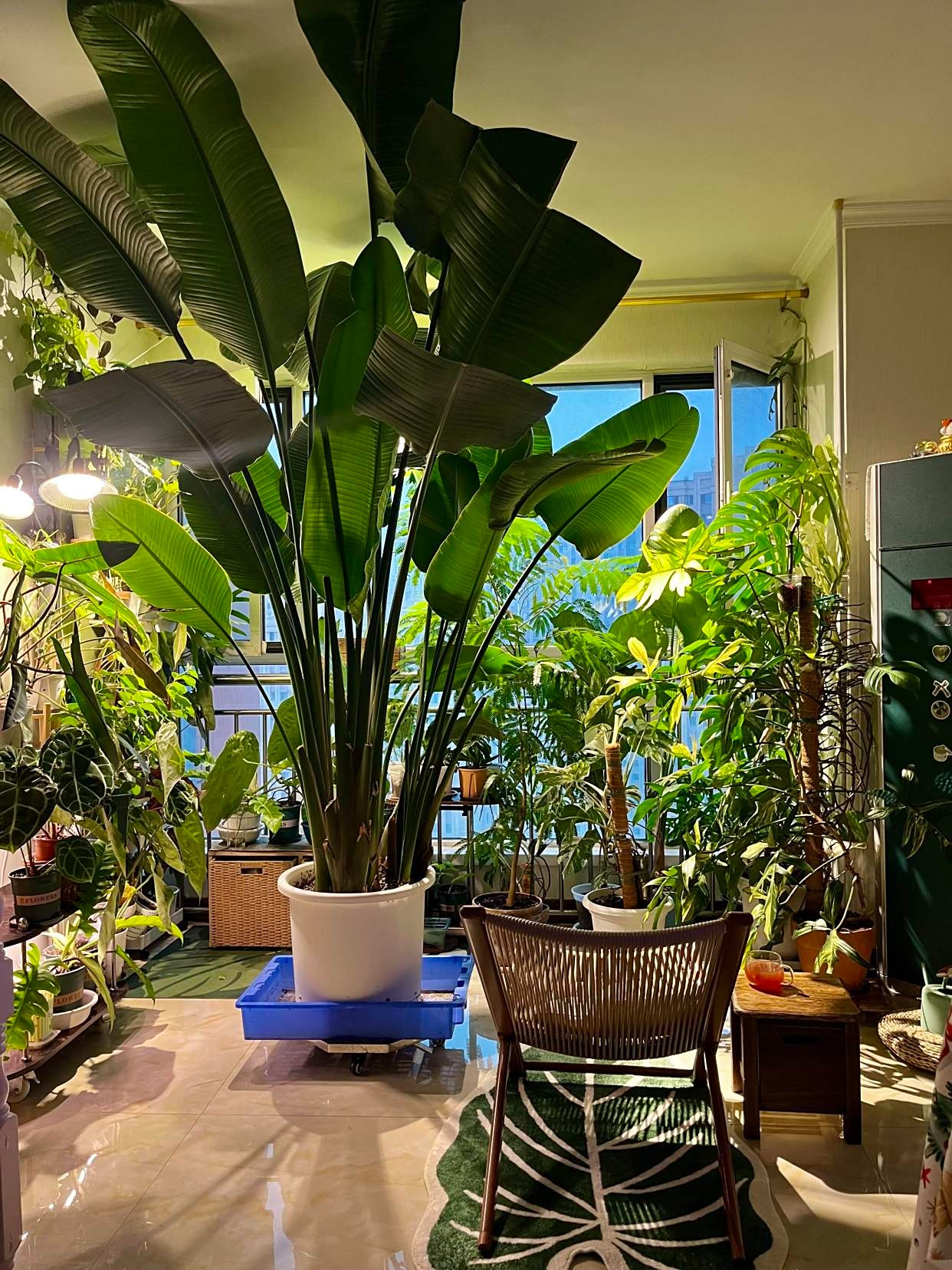 4 sai lầm thiết kế ban công, đặc biệt điều số 3 như đặt bẫy trong nhà, nhiều gia đình trả giá đắt cắt cổ!- Ảnh 1. 4 sai lầm thiết kế ban công, đặc biệt điều số 3 như đặt bẫy trong nhà, nhiều gia đình trả giá đắt cắt cổ!- Ảnh 1.