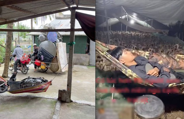 Trung bình nhà ở miền Tây đều có võng: Sức hút này bắt nguồn từ đâu? Vì sao ai cũng mê?- Ảnh 7. Trung bình nhà ở miền Tây đều có võng: Sức hút này bắt nguồn từ đâu? Vì sao ai cũng mê?- Ảnh 7.