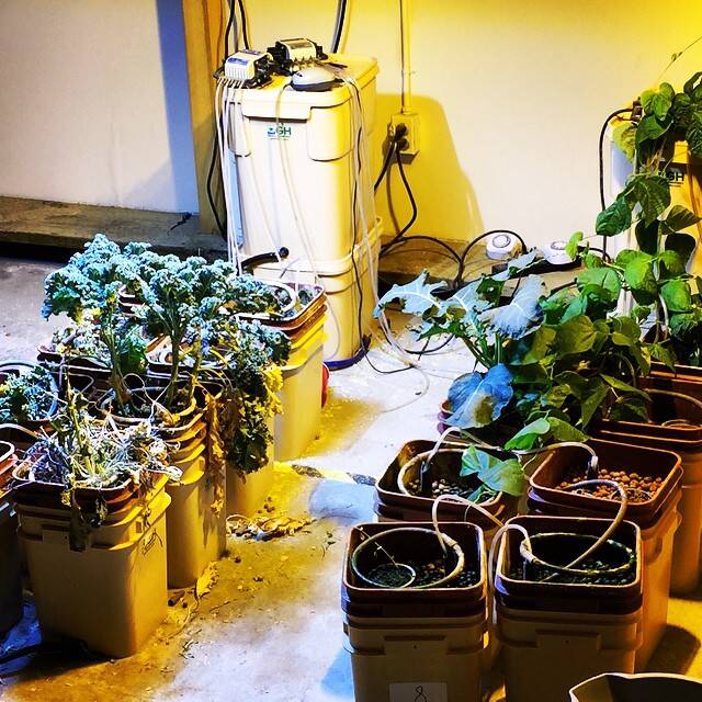 Khám phá Begich Towers - tòa chung cư "tự cung tự cấp" độc đáo tại Mỹ - Ảnh 8.