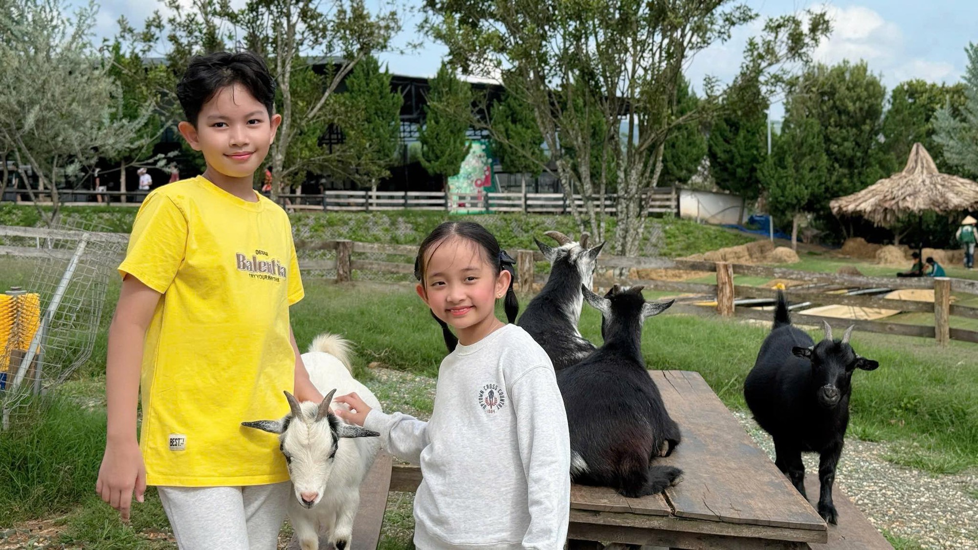 Một c&acirc;u n&oacute;i của con g&aacute;i Kh&aacute;nh Thi tiết lộ g&oacute;c khuất "đau l&ograve;ng" khi l&agrave;m con của Phan Hiển v&agrave; nữ ho&agrave;ng dancesport - Ảnh 6.