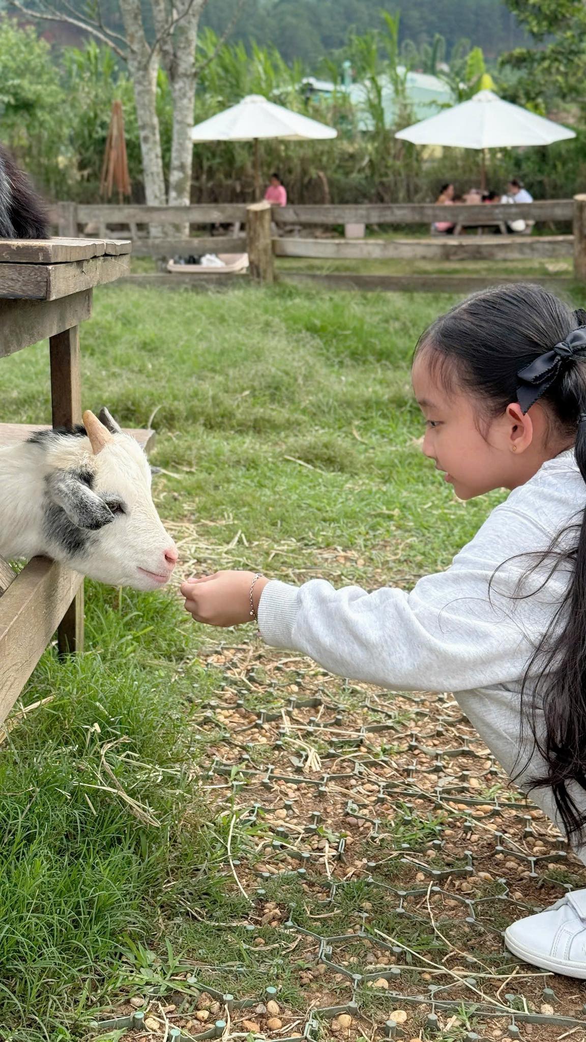 Một c&acirc;u n&oacute;i của con g&aacute;i Kh&aacute;nh Thi tiết lộ g&oacute;c khuất "đau l&ograve;ng" khi l&agrave;m con của Phan Hiển v&agrave; nữ ho&agrave;ng dancesport - Ảnh 4.