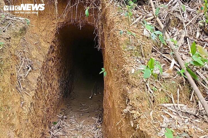 Cận cảnh hầm vàng trái phép trong rừng phòng hộ Quảng Trị - Ảnh 3. Cận cảnh hầm vàng trái phép trong rừng phòng hộ Quảng Trị - Ảnh 3.