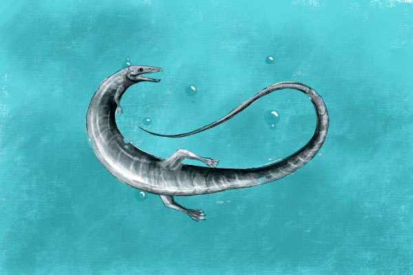 “Rồng quái vật” sơ sinh lộ diện ở Đức- Ảnh 1. “Rồng quái vật” sơ sinh lộ diện ở Đức- Ảnh 1.