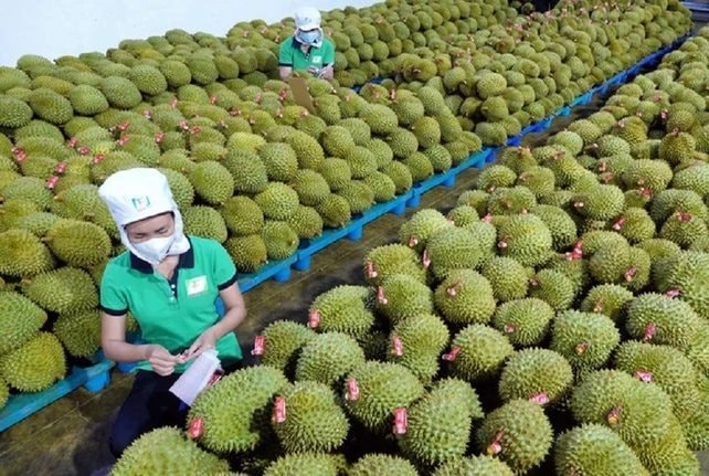 Lần đầu tiên mặt hàng xuất khẩu tỷ USD của Việt Nam có quy trình kiểm soát riêng - Ảnh 3. Lần đầu tiên mặt hàng xuất khẩu tỷ USD của Việt Nam có quy trình kiểm soát riêng - Ảnh 3.