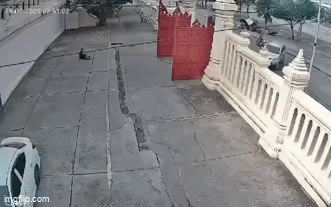 Từ giờ đến cuối năm có 3 con giáp may mắn bậc nhất, sự nghiệp thăng tiến, cuộc sống hạnh phúc viên mãn - Ảnh 4.