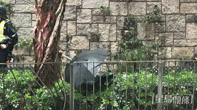 Ph&aacute;t hiện thi thể kh&ocirc;ng đầu ở Hồng K&ocirc;ng: Điều tra r&uacute;ng động giữa mưa lớn - Ảnh 3.