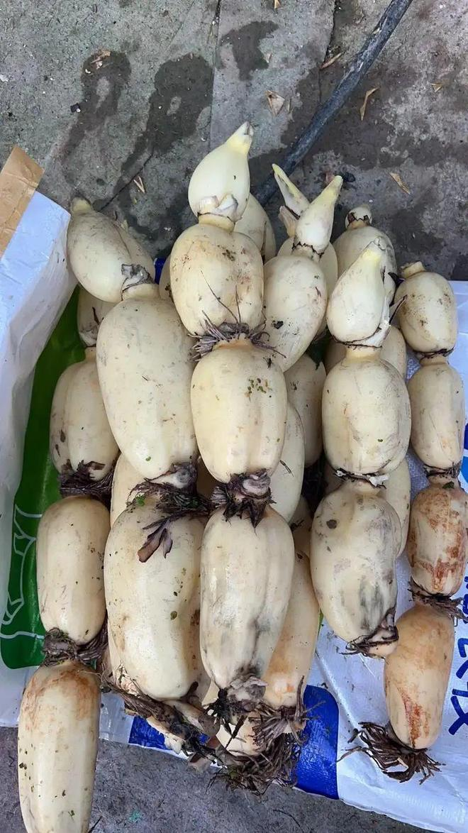 7 loại rau &ldquo;bẩn&rdquo; nhất chợ m&ugrave;a h&egrave;: Nh&igrave;n th&igrave; tươi ngon nhưng dễ rước bệnh v&agrave;o người, tuyệt đối tr&aacute;nh mua!- Ảnh 3.