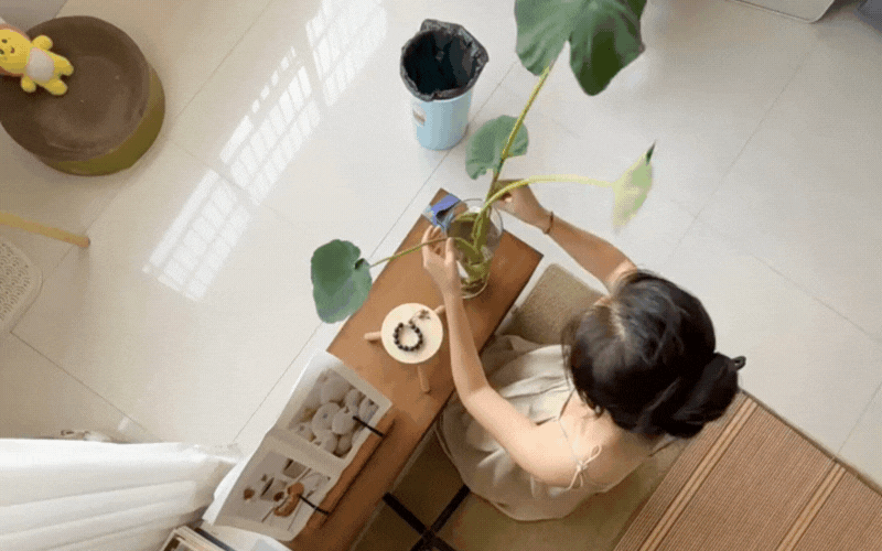 Tại sao bạn mãi không gặp may? Có thể do phong thủy ngôi nhà đang Tại sao bạn mãi không gặp may? Có thể do phong thủy ngôi nhà đang