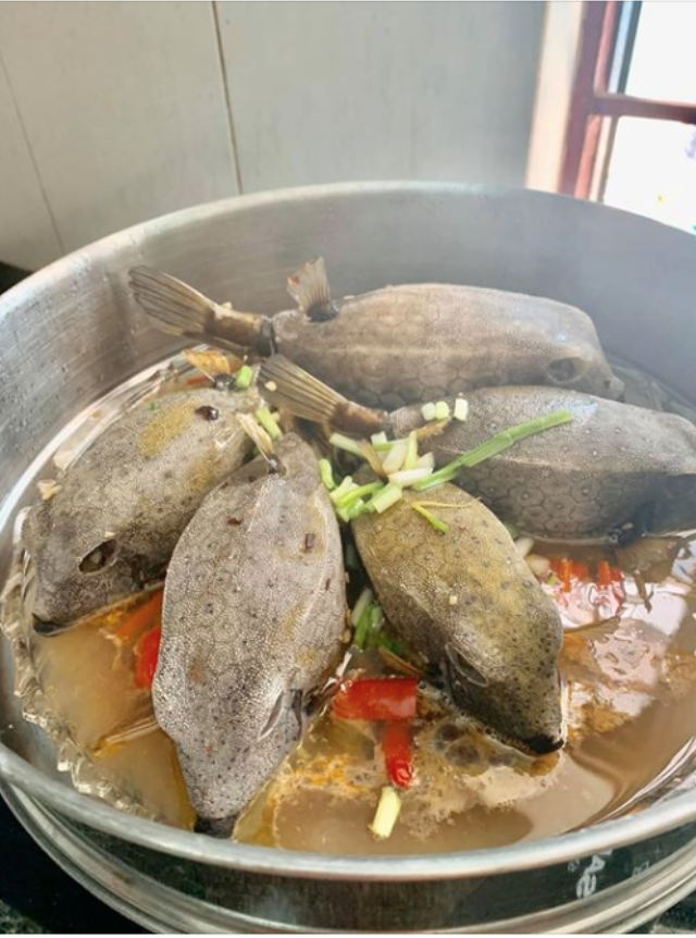 Cá bò hòm - món hải sản ngon như thịt gà, giá tiền triệu vẫn cháy hàng - Ảnh 1. Cá bò hòm - món hải sản ngon như thịt gà, giá tiền triệu vẫn cháy hàng - Ảnh 1.