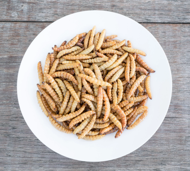 7 món ăn "rợn gáy" ở Trung Quốc: Món số 3 khiến dân mạng sốc hơn cả - Ảnh 5. 7 món ăn "rợn gáy" ở Trung Quốc: Món số 3 khiến dân mạng sốc hơn cả - Ảnh 5.