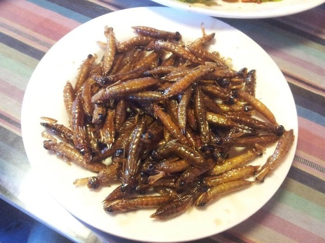 7 món ăn "rợn gáy" ở Trung Quốc: Món số 3 khiến dân mạng sốc hơn cả - Ảnh 4. 7 món ăn "rợn gáy" ở Trung Quốc: Món số 3 khiến dân mạng sốc hơn cả - Ảnh 4.