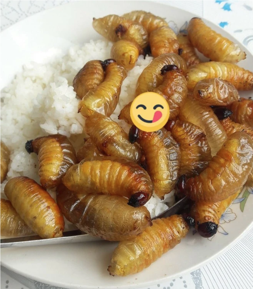 10 món ăn đặc sản nổi tiếng nhưng khó nuốt, Việt Nam có 4 món - Ảnh 7.
