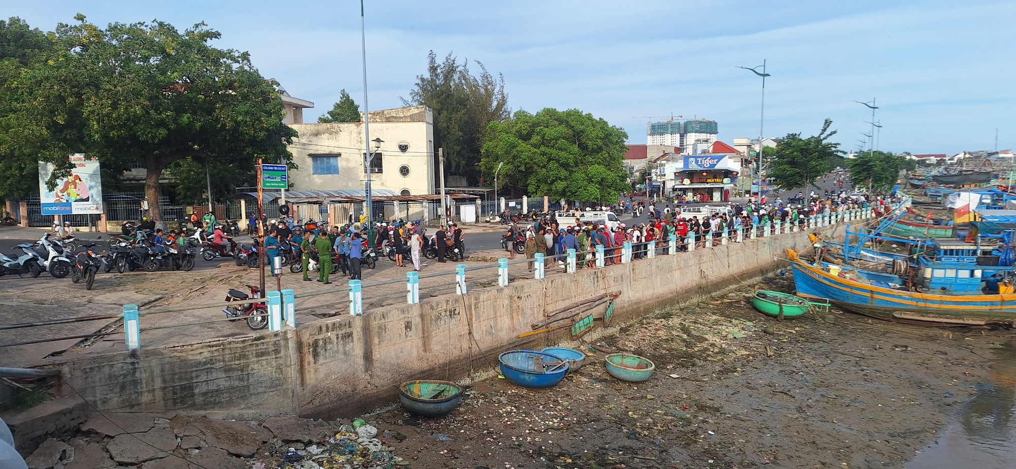 Xác minh thi thể người đàn ông trôi trên sông Cà Ty gần cầu Trần Hưng Đạo - Ảnh 1.