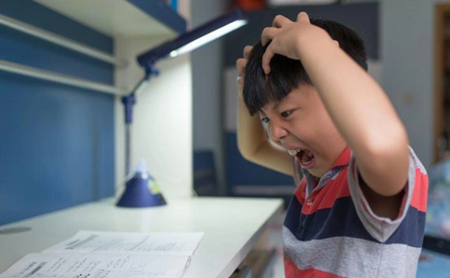 Nghiên cứu Harvard chỉ ra 7 hành động của cha mẹ làm suy giảm IQ trẻ nhỏ nghiêm trọng - Ảnh 2.