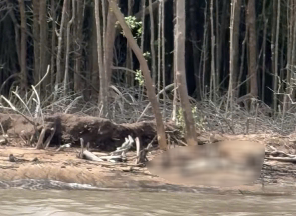 Phát hiện thi thể không nguyên vẹn tại Cà Mau: Vụ việc gây chấn động cộng đồng - Ảnh 1.