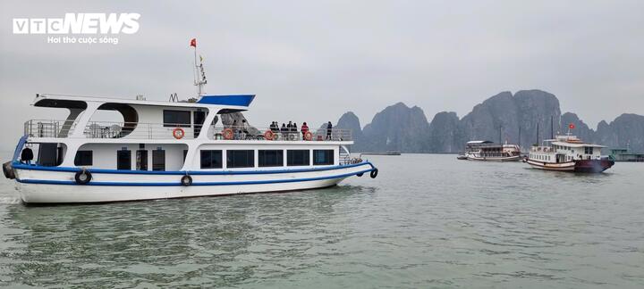 Quảng Ninh yêu cầu lắp đặt thiết bị AIS trên tất cả tàu du lịch Vịnh Hạ Long - Ảnh 1.