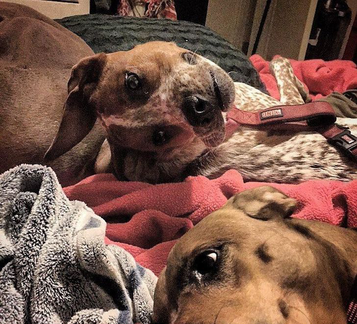 15 bức ảnh "gây lú" cực mạnh nhìn đi nhìn lại 30 lần cũng chưa chắc đã hiểu, thách thức những đôi mắt tinh tường nhất- Ảnh 2.