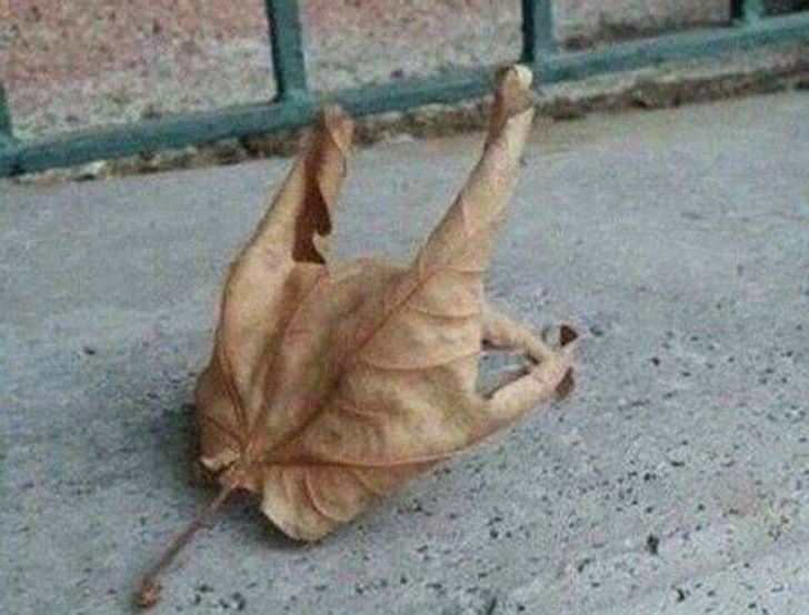 15 bức ảnh "gây lú" cực mạnh nhìn đi nhìn lại 30 lần cũng chưa chắc đã hiểu, thách thức những đôi mắt tinh tường nhất- Ảnh 14.