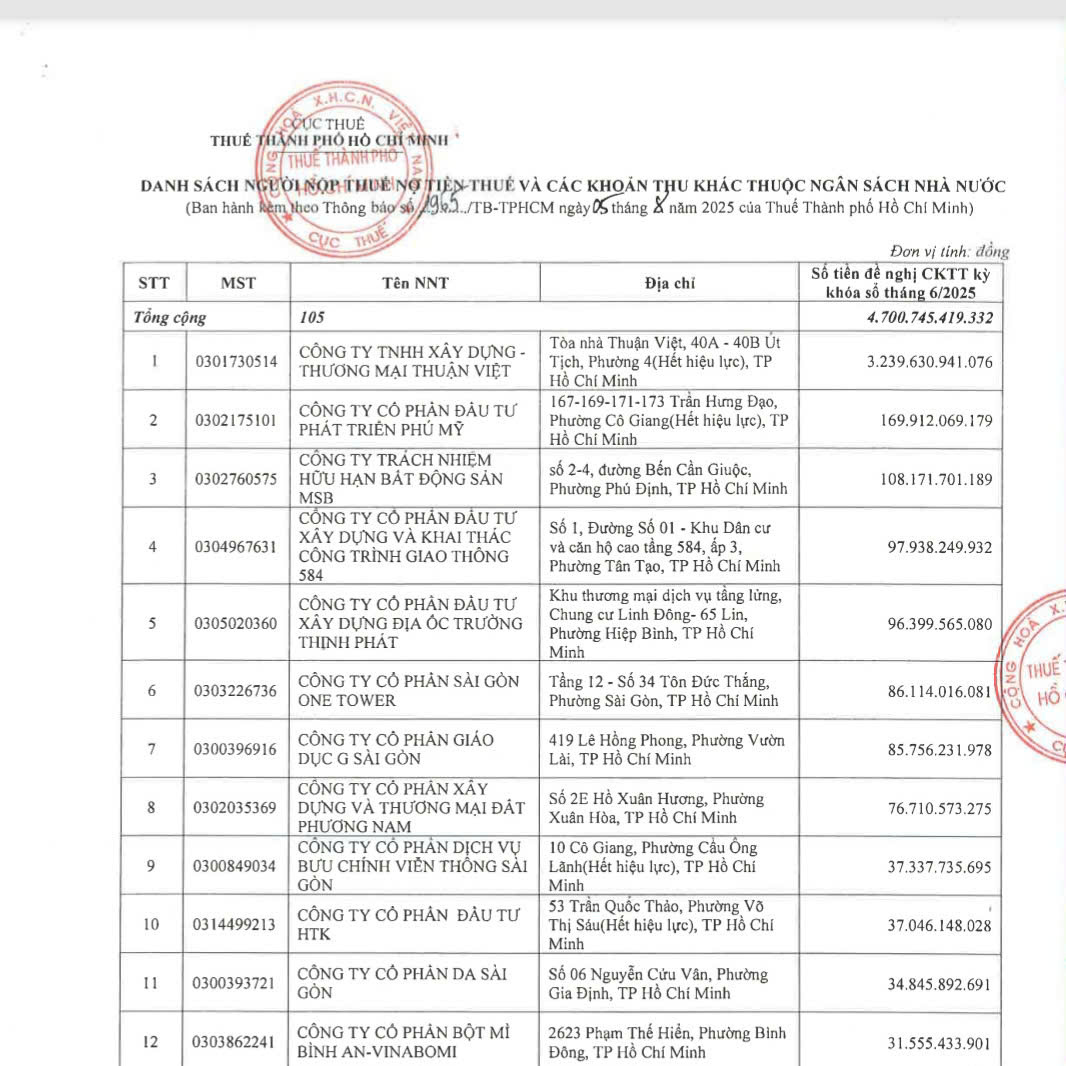 Một doanh nghiệp tại TP HCM nợ thuế đến hơn 3.200 tỉ đồng- Ảnh 2.