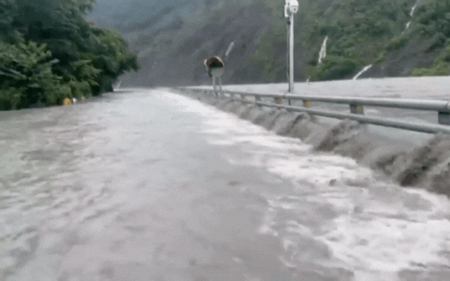 Mưa b&atilde;o t&agrave;n ph&aacute; Đ&agrave;i Loan: 4 gười chết v&agrave; gần 6.000 người sơ t&aacute;n - Ảnh 4.