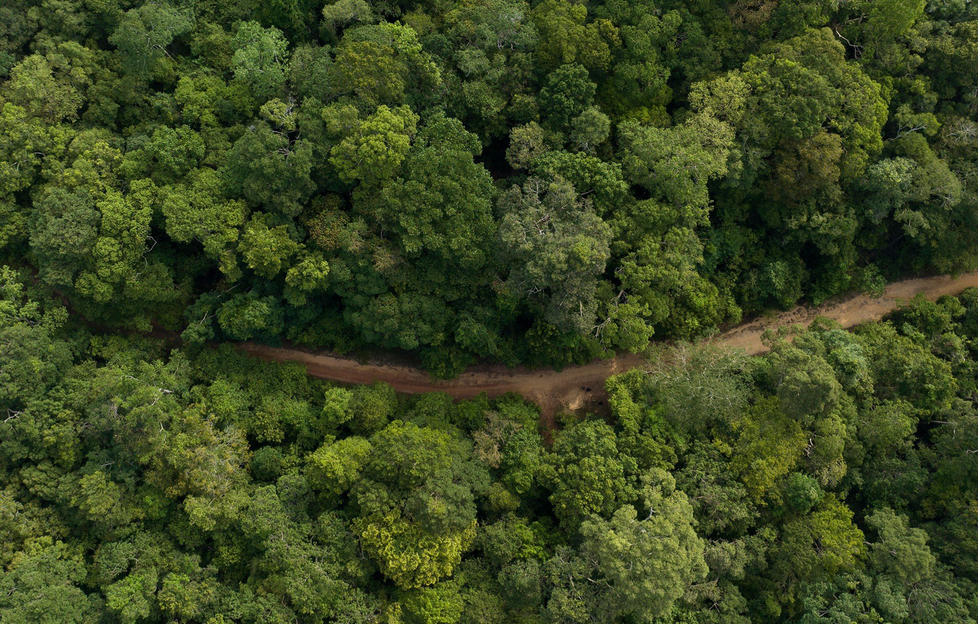 3 hòn đảo có sân bay ở Việt Nam: Nơi là thiên đường nghỉ dưỡng, nơi có đường cao tốc, nơi thu hơn 3.000 tỷ mỗi năm nhờ du lịch- Ảnh 2.